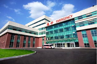 萬科首進(jìn)沈北對外亮相 雷明鋼管廠項目奠基 定名萬科 北宸之光